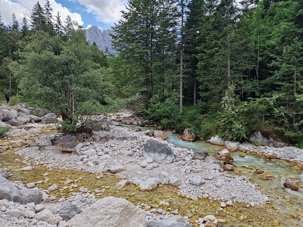 Slika je vidna v Google Chromu.