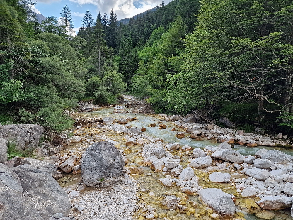 Slika je vidna v Google Chromu.