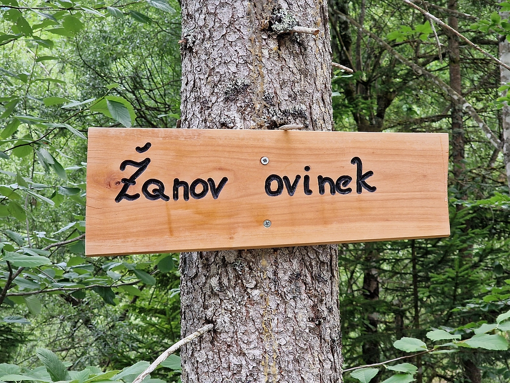 Slika je vidna v Google Chromu.