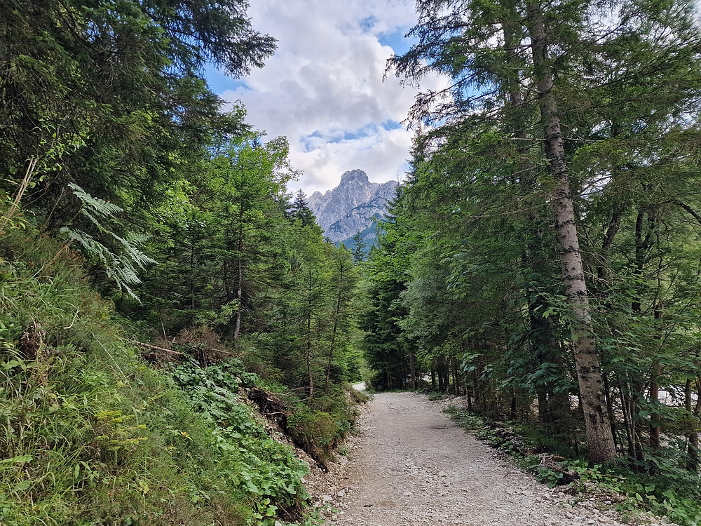 Slika je vidna v Google Chromu.