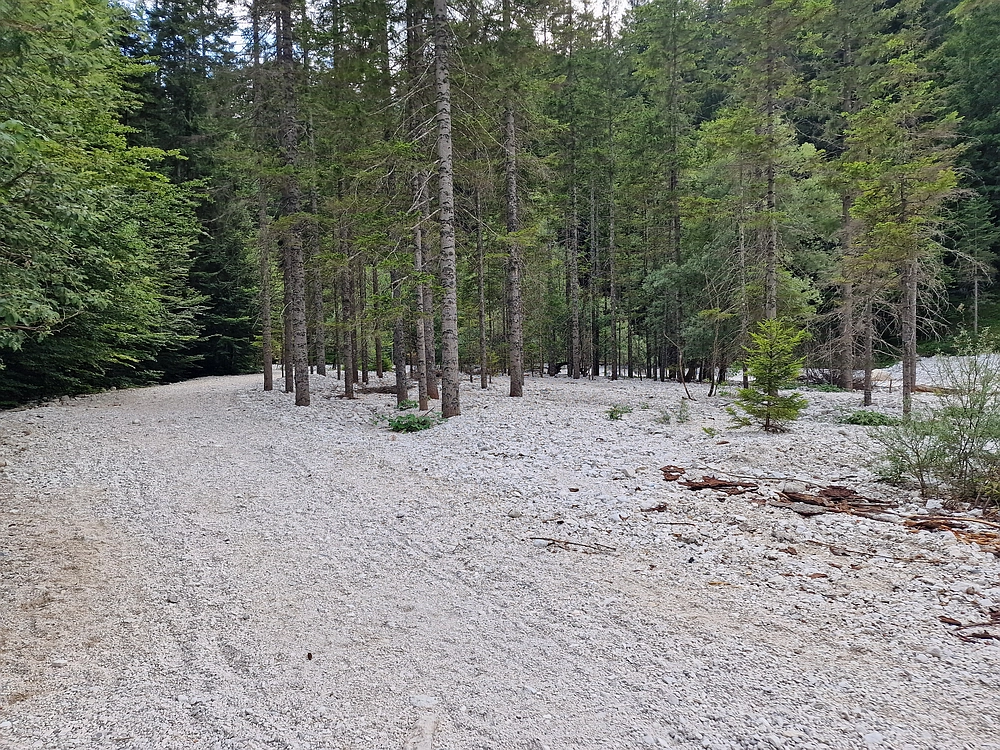 Slika je vidna v Google Chromu.