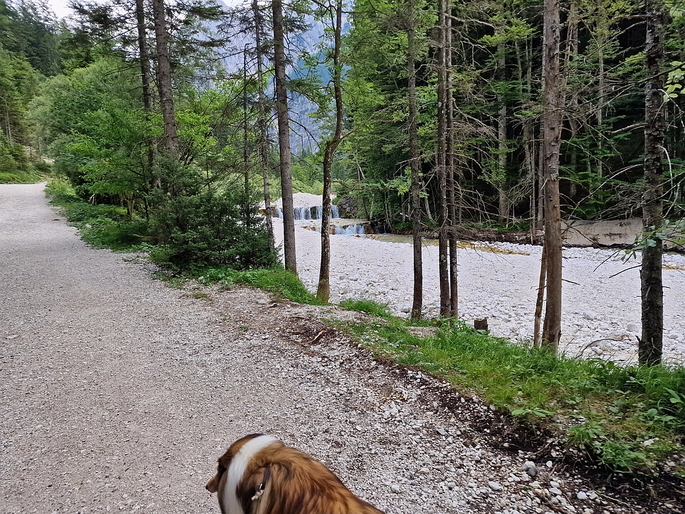 Slika je vidna v Google Chromu.