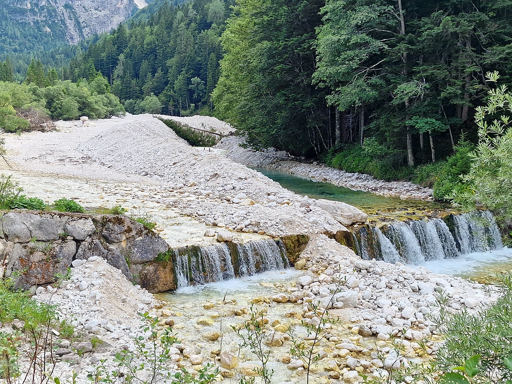 Slika je vidna v Google Chromu.
