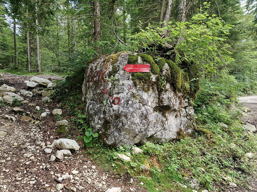 Slika je vidna v Google Chromu.