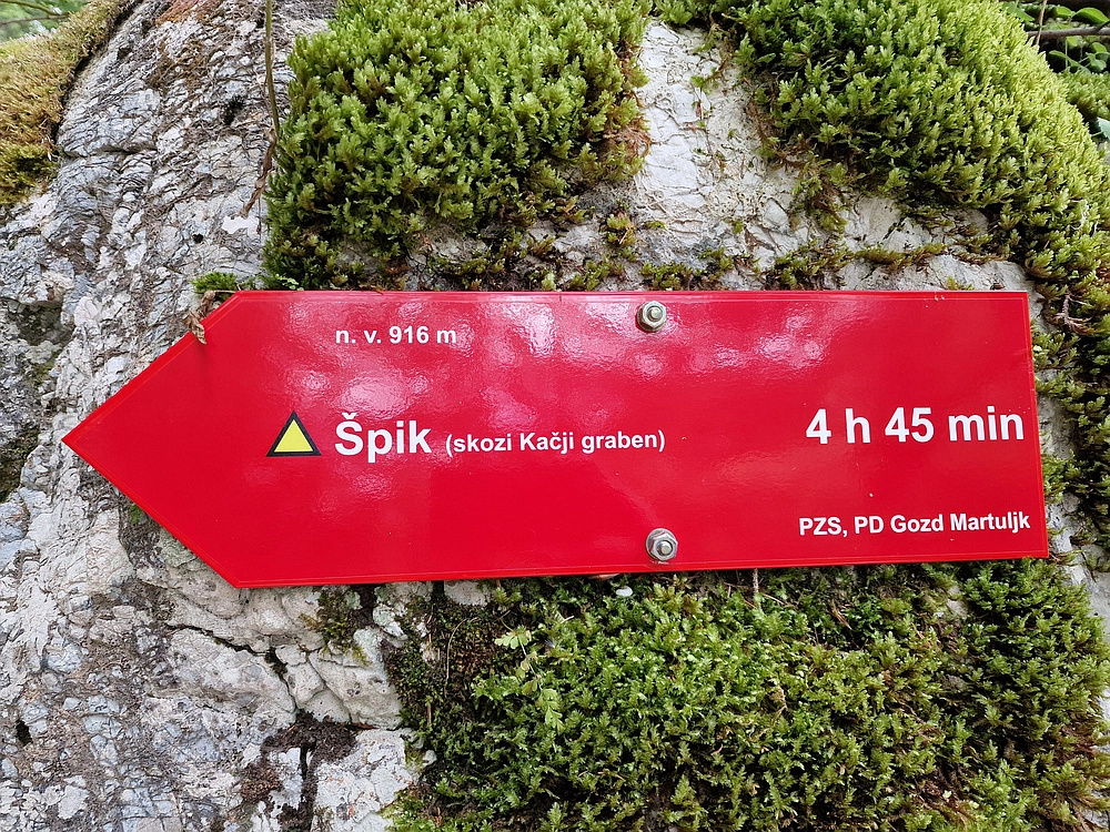 Slika je vidna v Google Chromu.