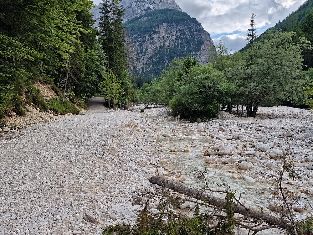 Slika je vidna v Google Chromu.