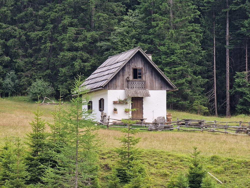 Slika je vidna v Google Chromu.