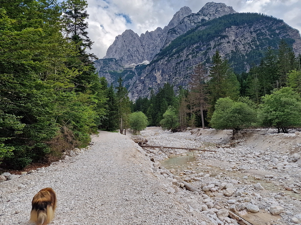 Slika je vidna v Google Chromu.