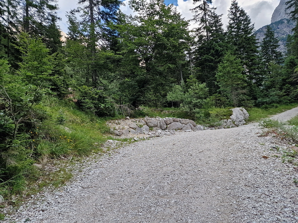 Slika je vidna v Google Chromu.