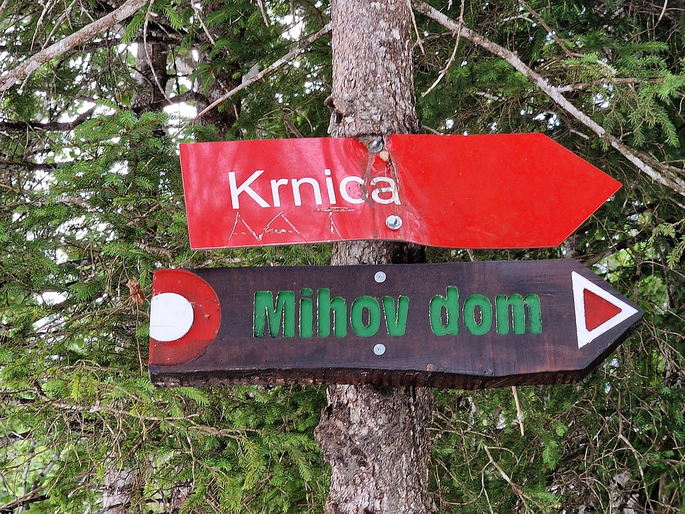 Slika je vidna v Google Chromu.