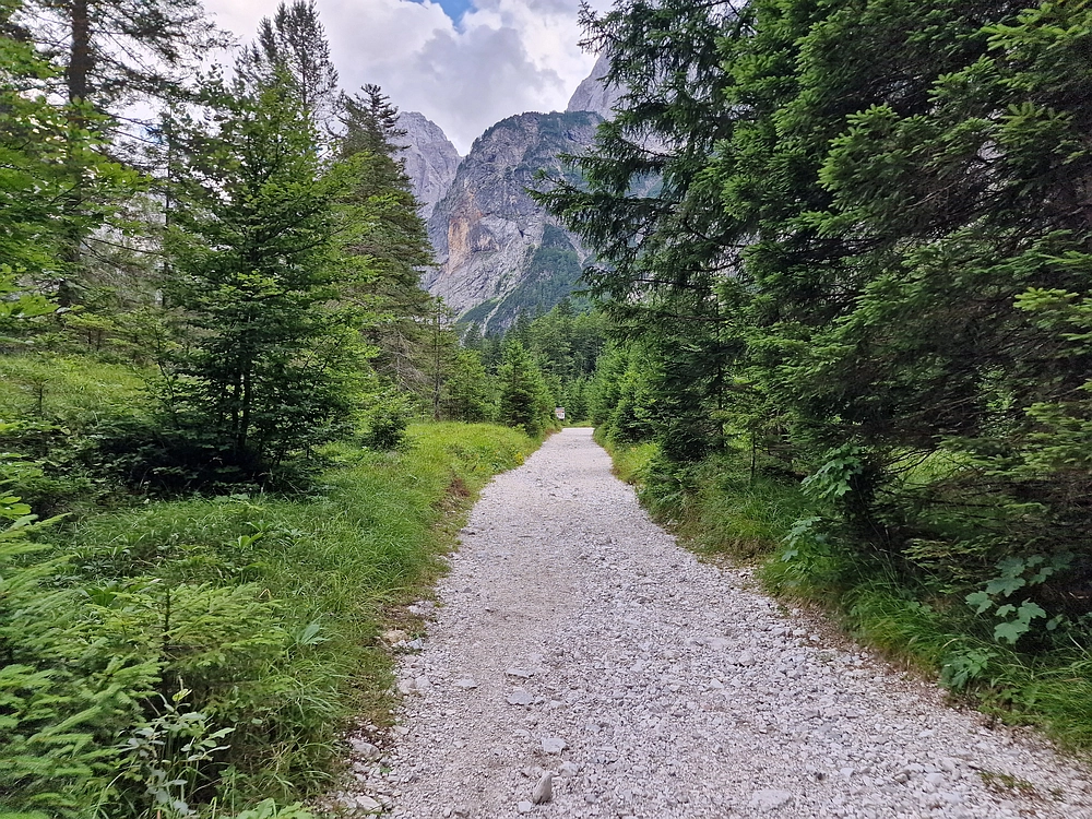 Slika je vidna v Google Chromu.