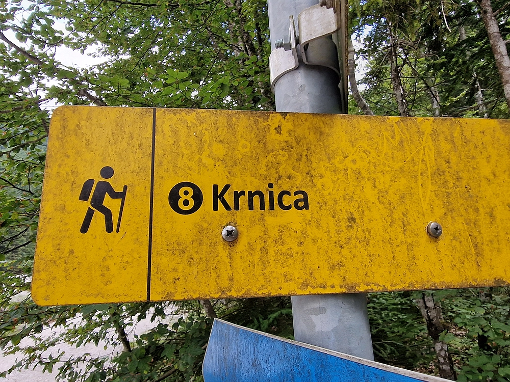 Slika je vidna v Google Chromu.