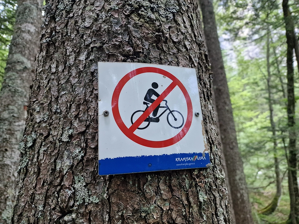 Slika je vidna v Google Chromu.