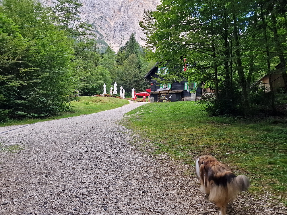 Slika je vidna v Google Chromu.