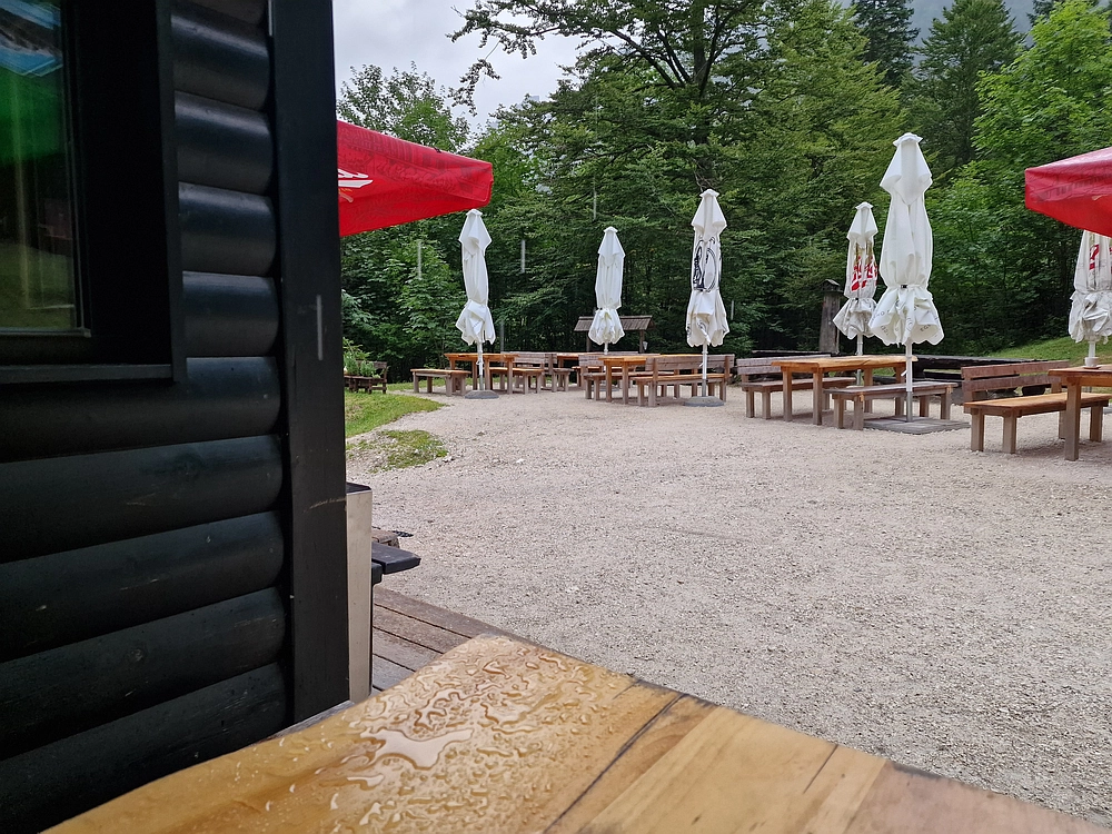 Slika je vidna v Google Chromu.