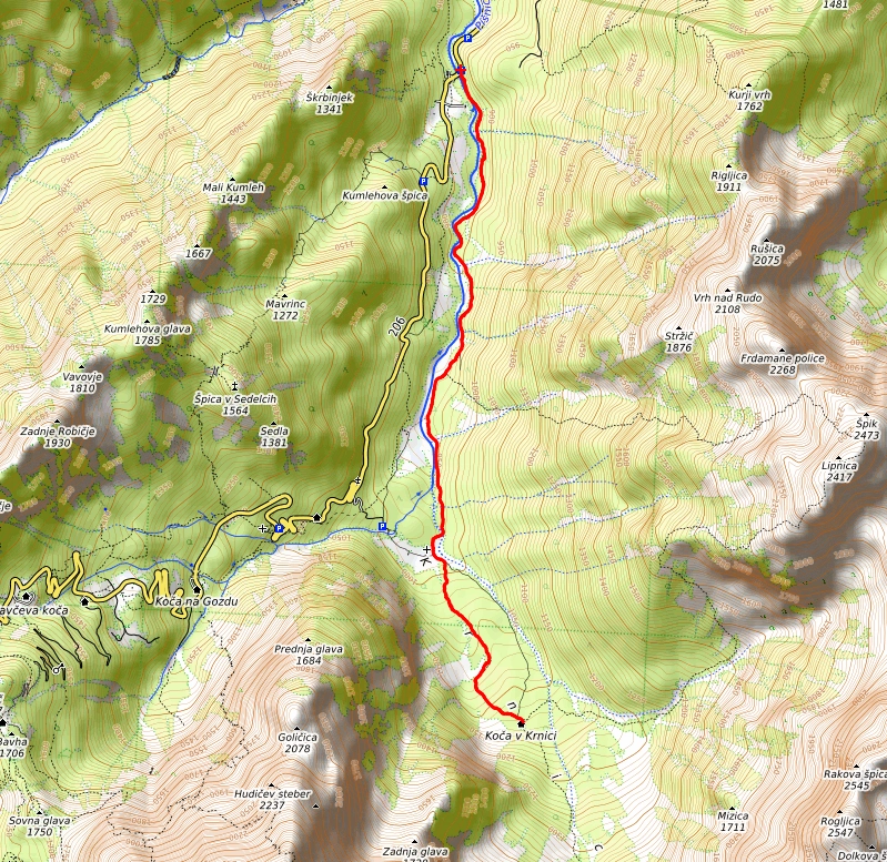 Slika je vidna v Google Chromu.