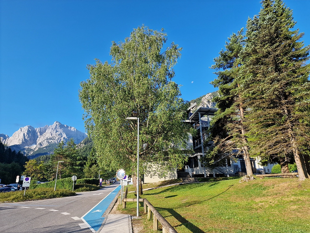 Slika je vidna v Google Chromu.