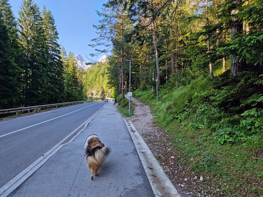 Slika je vidna v Google Chromu.