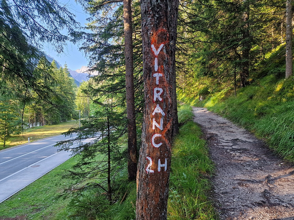 Slika je vidna v Google Chromu.