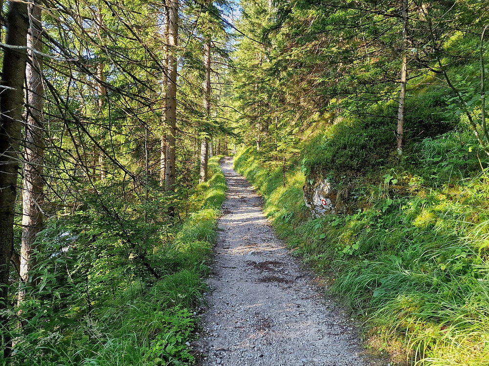 Slika je vidna v Google Chromu.