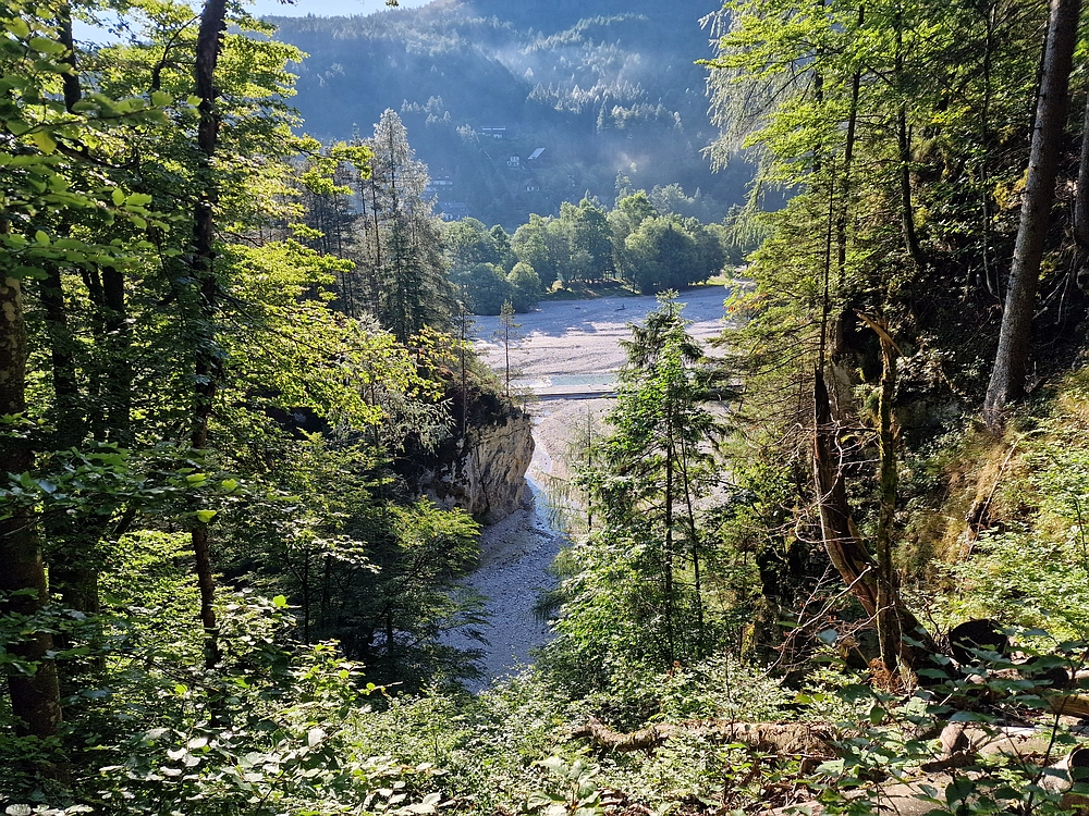 Slika je vidna v Google Chromu.