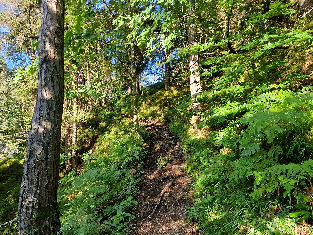 Slika je vidna v Google Chromu.