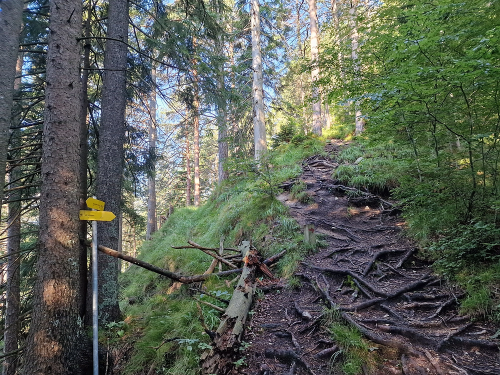 Slika je vidna v Google Chromu.