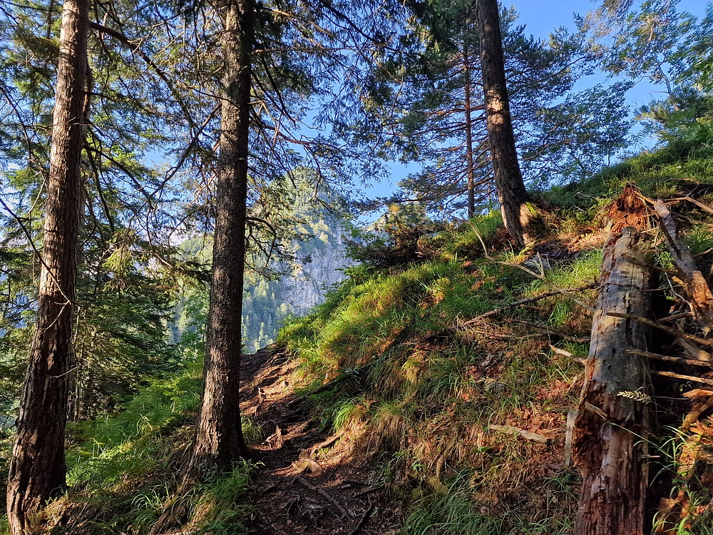 Slika je vidna v Google Chromu.