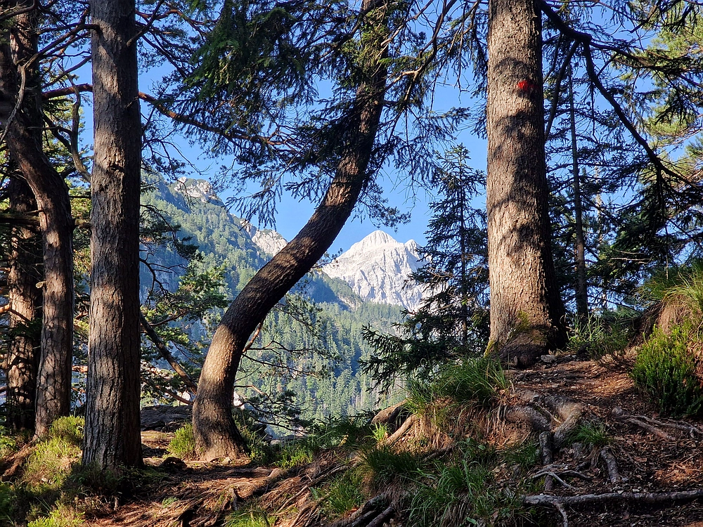 Slika je vidna v Google Chromu.