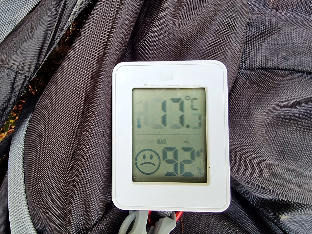 Slika je vidna v Google Chromu.