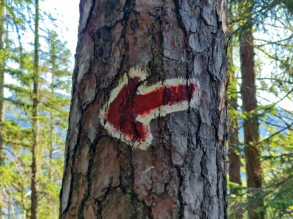 Slika je vidna v Google Chromu.