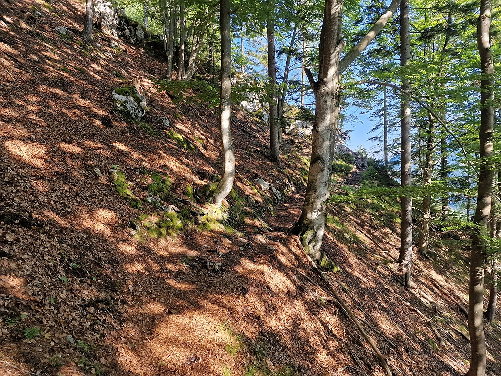 Slika je vidna v Google Chromu.