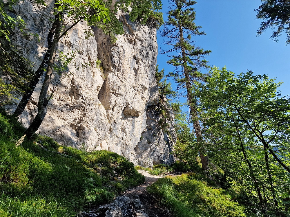 Slika je vidna v Google Chromu.