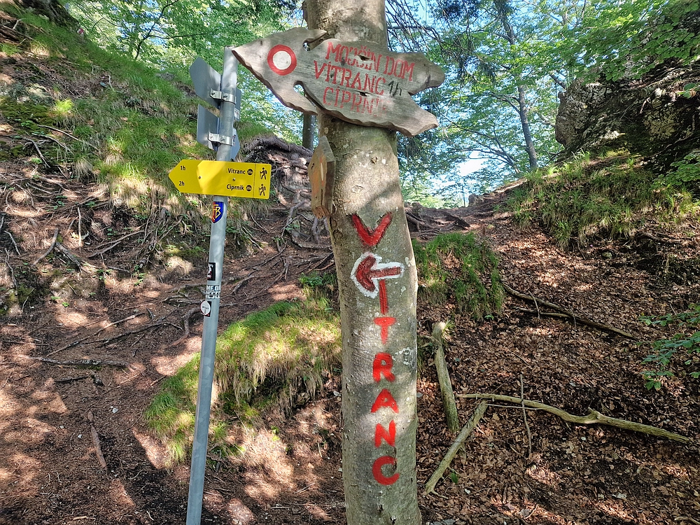 Slika je vidna v Google Chromu.