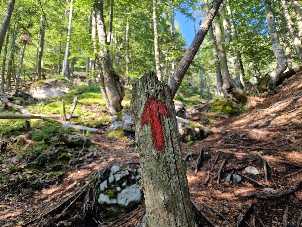 Slika je vidna v Google Chromu.