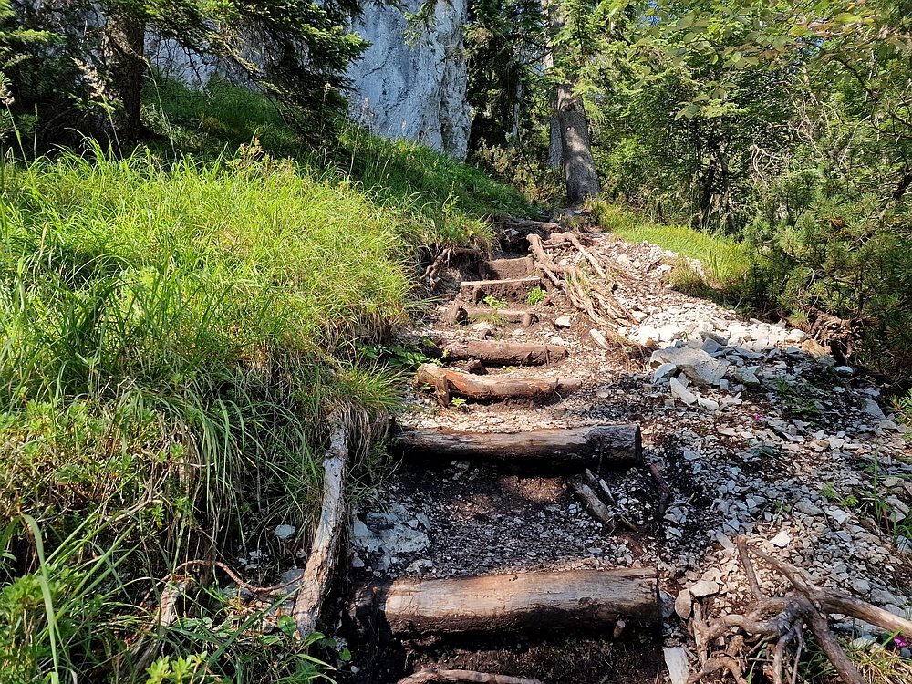 Slika je vidna v Google Chromu.