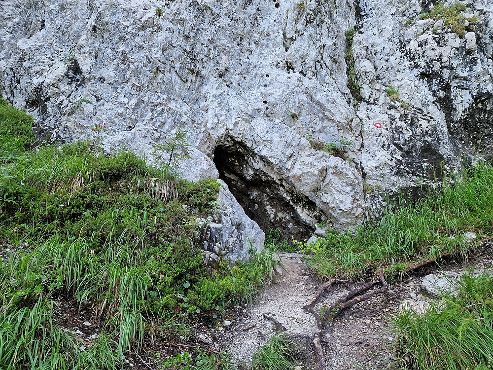 Slika je vidna v Google Chromu.
