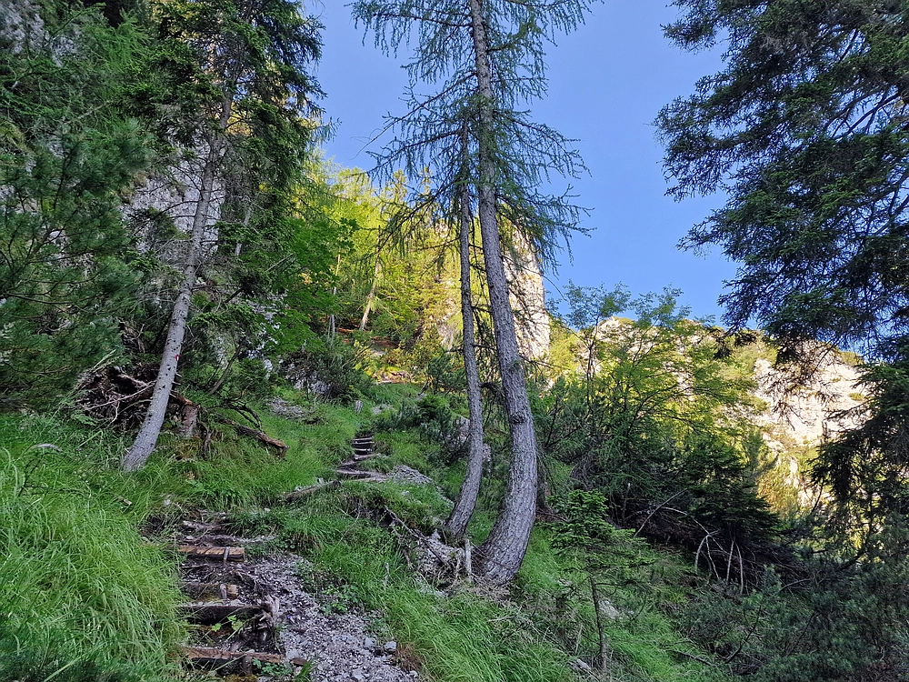 Slika je vidna v Google Chromu.