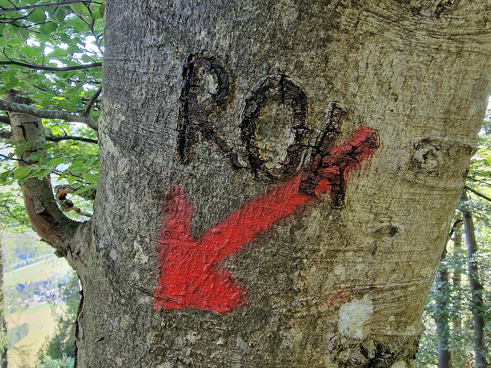 Slika je vidna v Google Chromu.