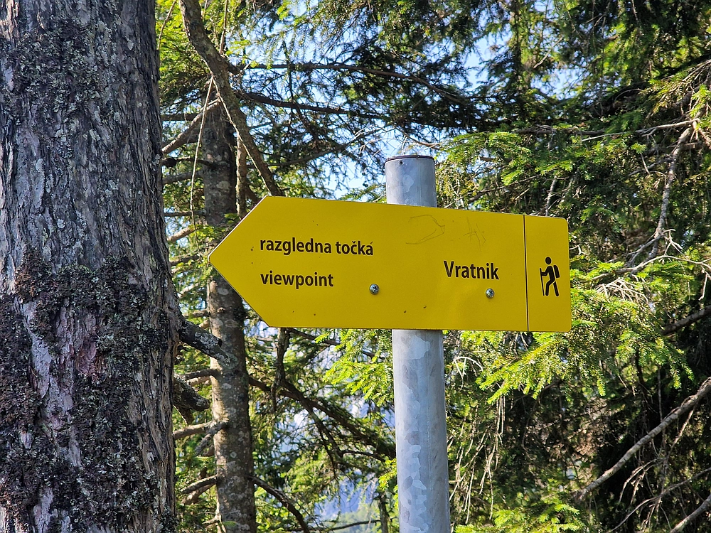 Slika je vidna v Google Chromu.