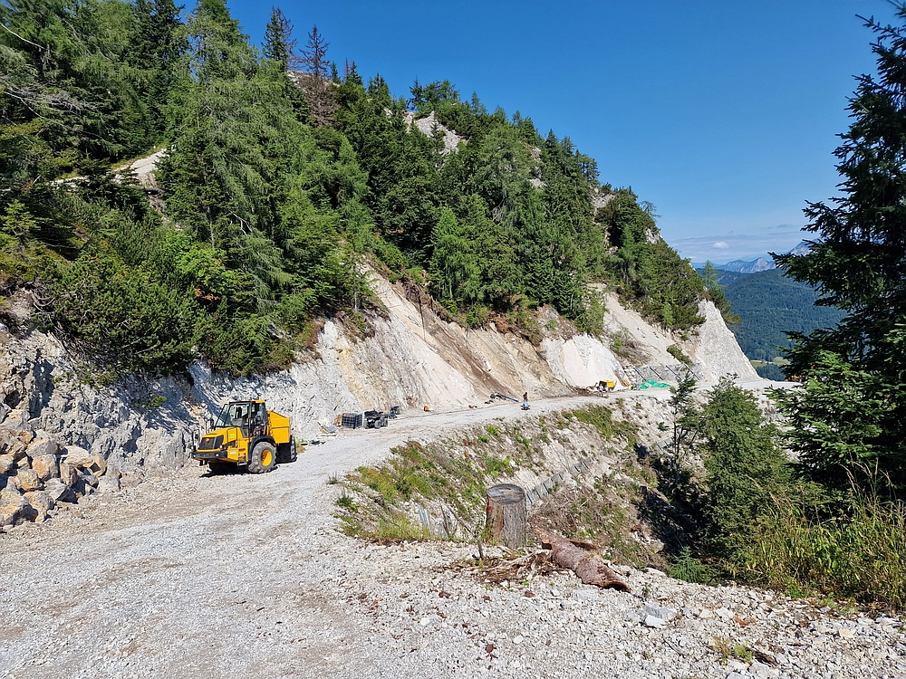 Slika je vidna v Google Chromu.