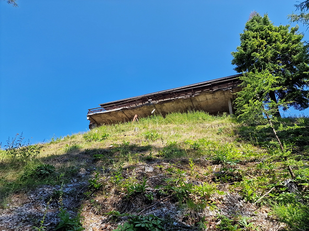 Slika je vidna v Google Chromu.