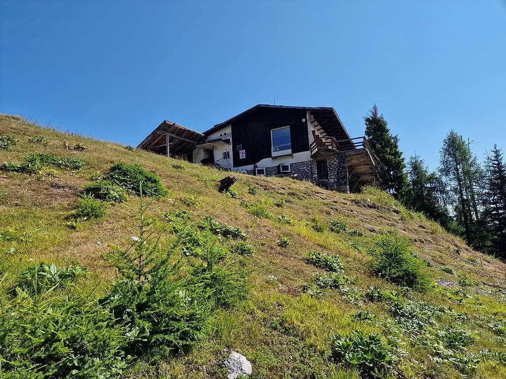 Slika je vidna v Google Chromu.