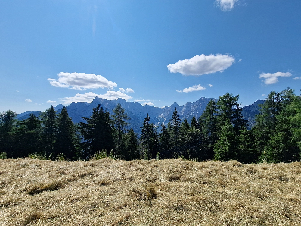 Slika je vidna v Google Chromu.