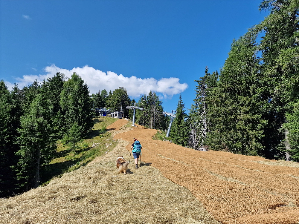 Slika je vidna v Google Chromu.