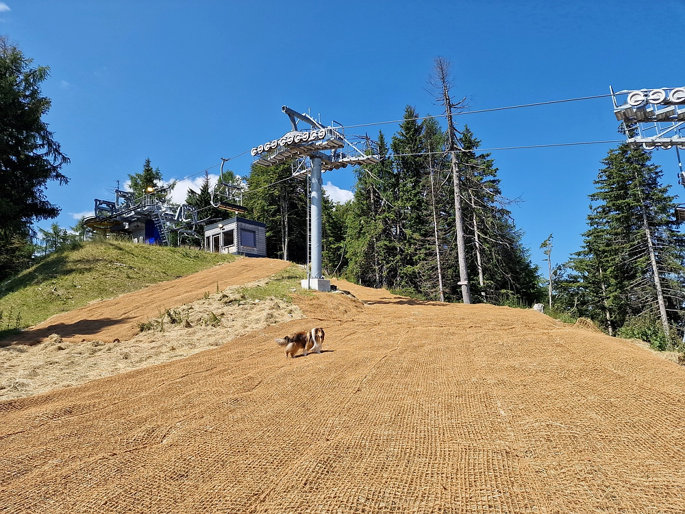 Slika je vidna v Google Chromu.