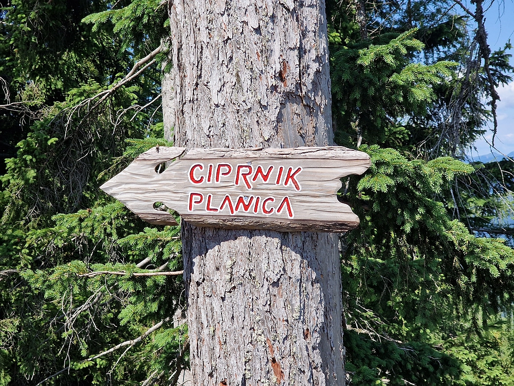 Slika je vidna v Google Chromu.