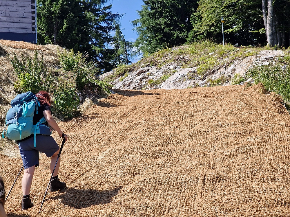 Slika je vidna v Google Chromu.
