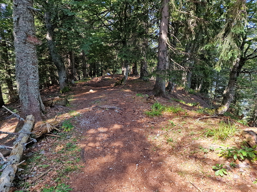 Slika je vidna v Google Chromu.