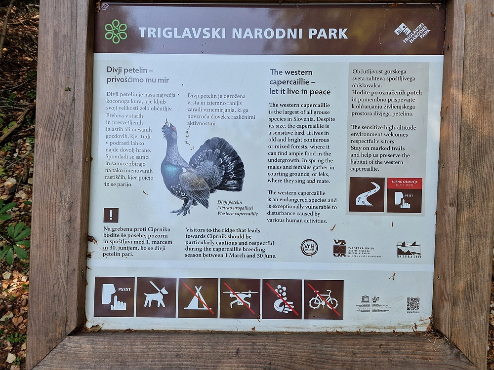 Slika je vidna v Google Chromu.